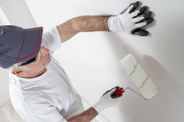 Best Mold Damage Restoration  in Kingsley, MI