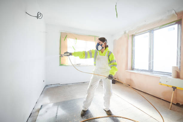 Best Asbestos and Lead Testing During Mold Inspection  in Kingsley, MI