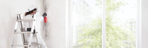 Best Commercial Mold Inspection  in Kingsley, MI